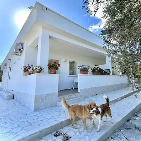 Residenza Terry Vieste