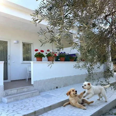 Residenza Terry *